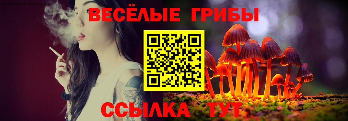 Галлюциногенные грибы Magic Shrooms  Вход с VPN  Галлюциногенные грибы мухоморы  Славгород 