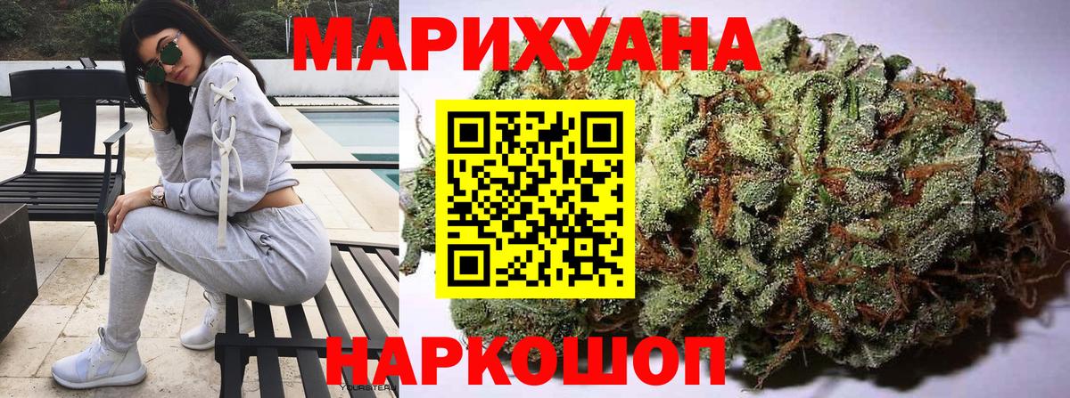 Конопля Ganja Славгород